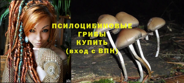 ГАЛЛЮЦИНОГЕННЫЕ ГРИБЫ Абинск